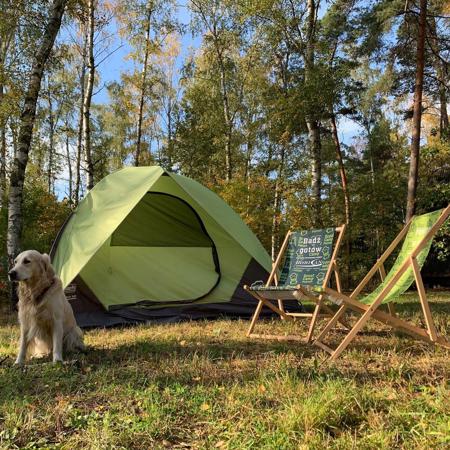 Scout Camp Poznań Copy