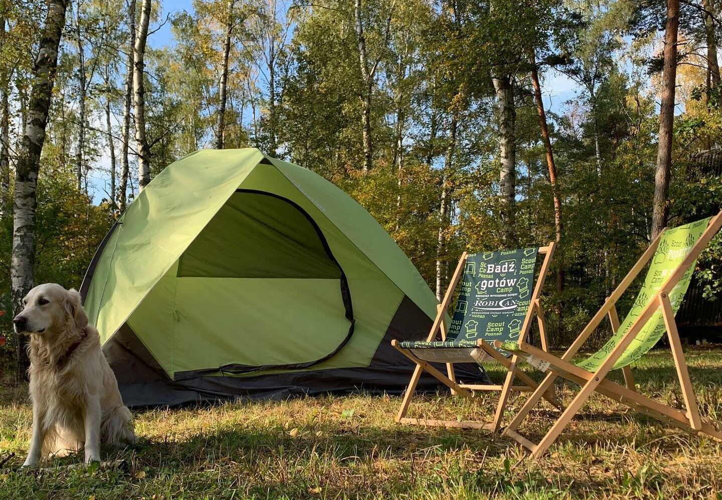 Miejsce pod namiot na campingu Poznań Scout Camp