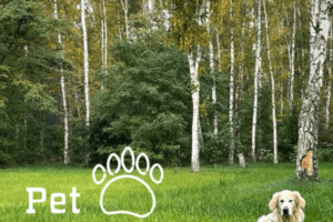 Obóz na Scout Camp_11 Obóz na Scout Camp_11